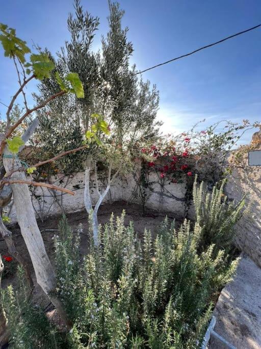 Le Petit Chalet. Essaouira Bagian luar foto